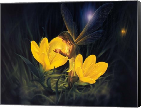 Framed Night Harvest - C Print