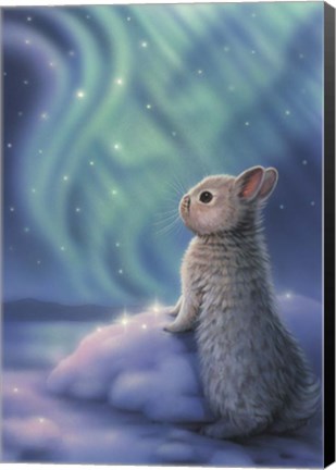 Framed Aurora Bunny Print