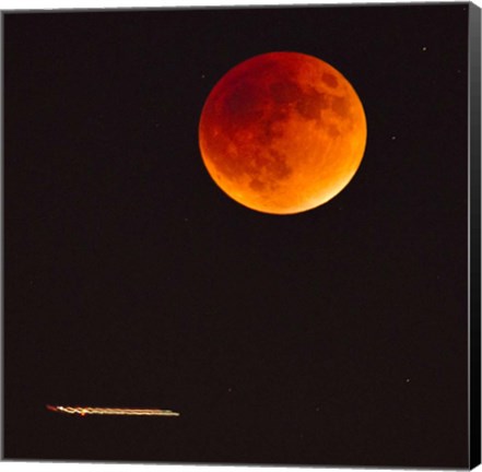 Framed Moonlight Flight Print