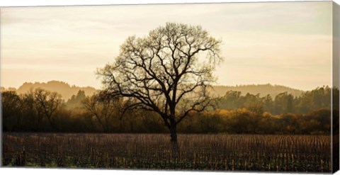 Framed Wine Country Winter Print