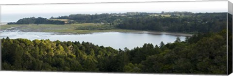 Framed Bolinas in Spring Print