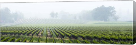 Framed Fog Shrouded Valley Print