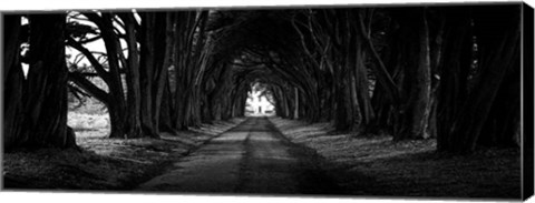 Framed Light at the End of the Tunnel Print