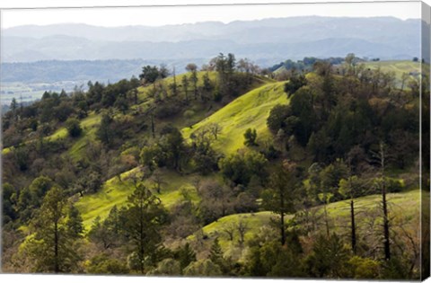 Framed Over the Hill Print