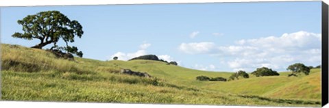 Framed Petaluma Hills Print