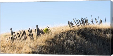 Framed Pickets and Barbed Wire Print