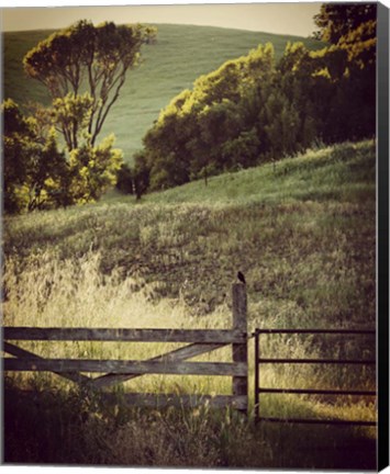 Framed Resting on a Fencepost Print