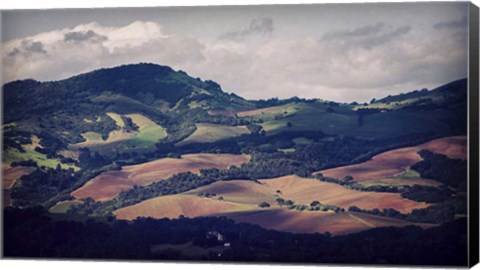 Framed Sonoma Hillside Shadows Print