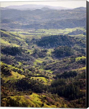 Framed Vista Point Print