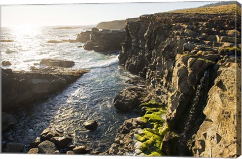 Framed Wild Sonoma Coast Print