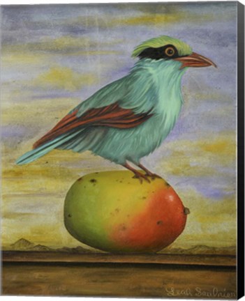 Framed Magpie On A Mango Print