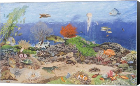 Framed Under the Sea Print