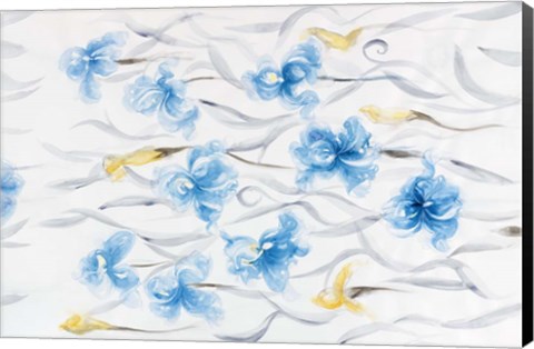 Framed Field of Flowers II Print
