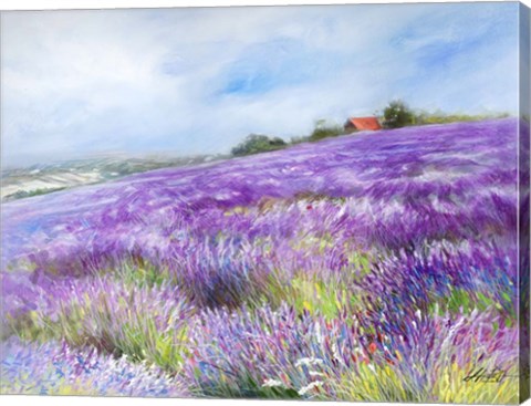Framed Lavender I Print