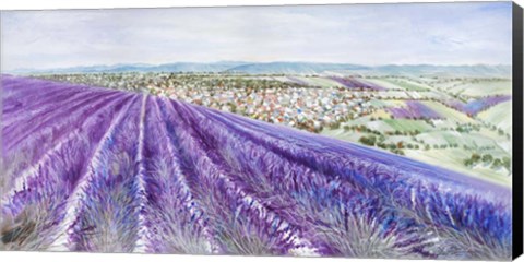 Framed Lavender II Print