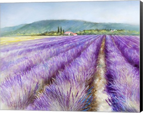 Framed Lavender III Print