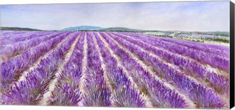Framed Lavender V Print