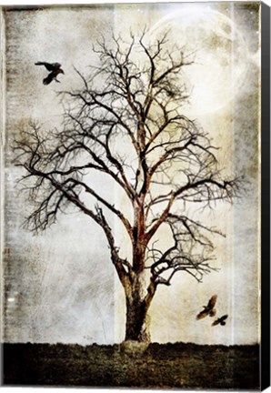 Framed Cottonwood Tree Part 2 Print