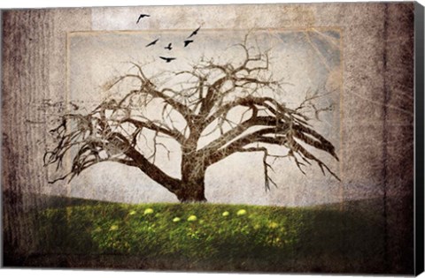Framed Cottonwood Tree Part 3 Print