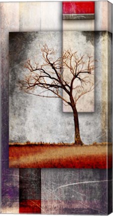 Framed Cottonwood Tree Part 4 Print