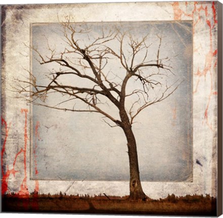 Framed Cottonwood Tree Part 5 Print