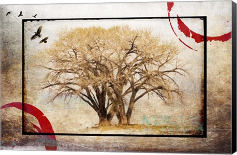 Framed Cottonwood Tree Part 6 Print