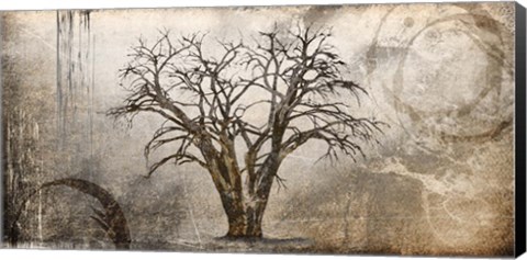 Framed Cottonwood Tree Part 7 Print