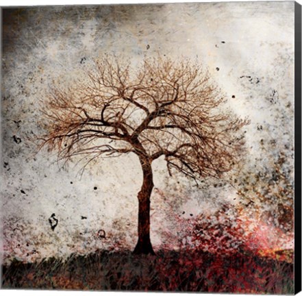 Framed Cottonwood Tree Part 9 Print