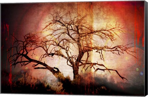 Framed Cottonwood Tree Part 10 Print