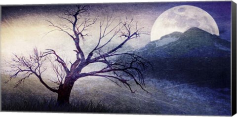 Framed Cottonwood Tree Part 11 Print