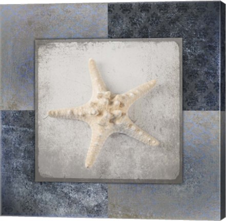 Framed Blue Star Fish 3 Print