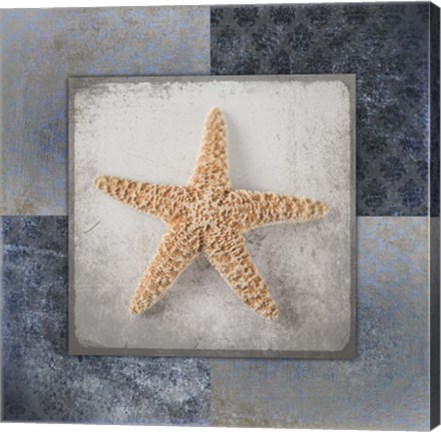Framed Blue Star Fish Print