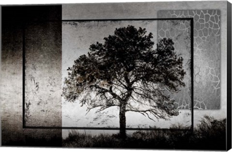 Framed July Tree Print