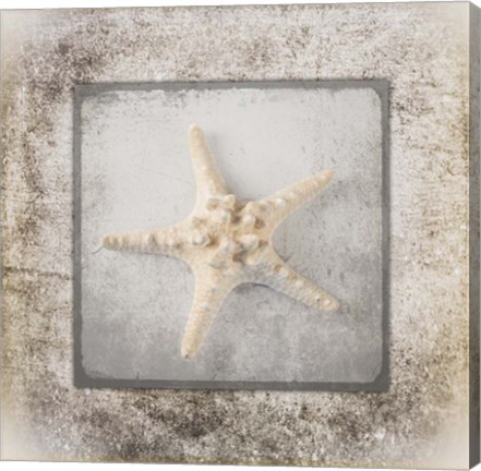 Framed Stone Star 2 Print