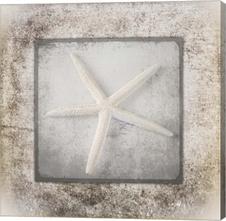 Framed Stone Star 3 Print