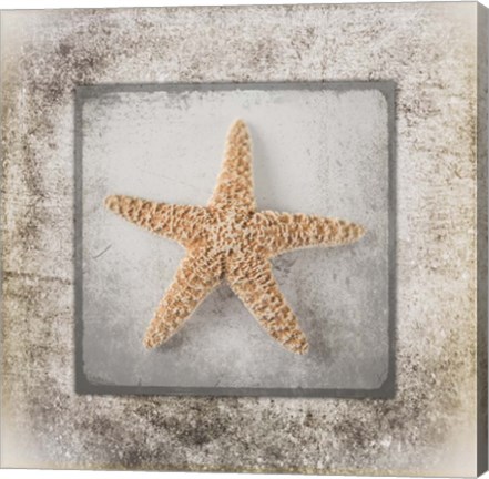 Framed Stone Star Print