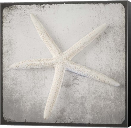 Framed Vintage Natuical Set 2 Print