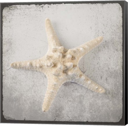 Framed Vintage Natuical Set Print