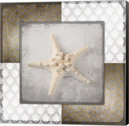 Framed Vintage Natuical Star 2 Print