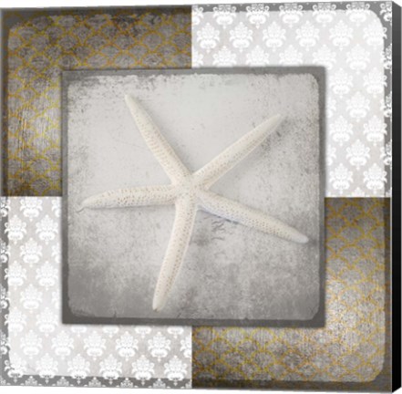 Framed Vintage Natuical Star 3 Print