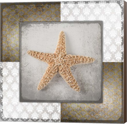 Framed Vintage Natuical Star Print