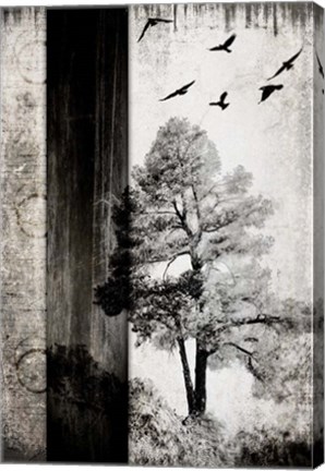 Framed July Tree 11 Print