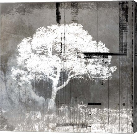 Framed July Tree 9 Print