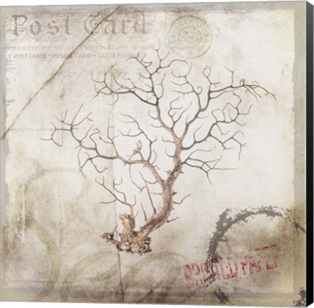 Framed Sea Leaf 2 Print