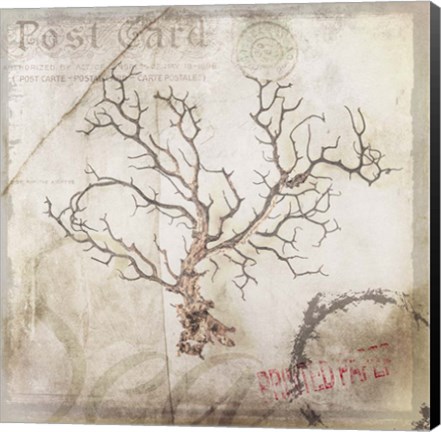 Framed Sea Leaf 3 Print