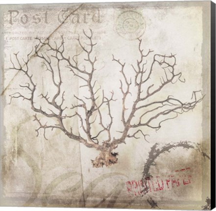 Framed Sea Leaf Print