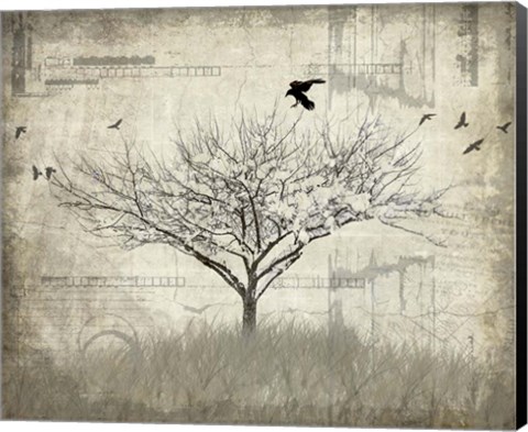 Framed August Tree 1 Print