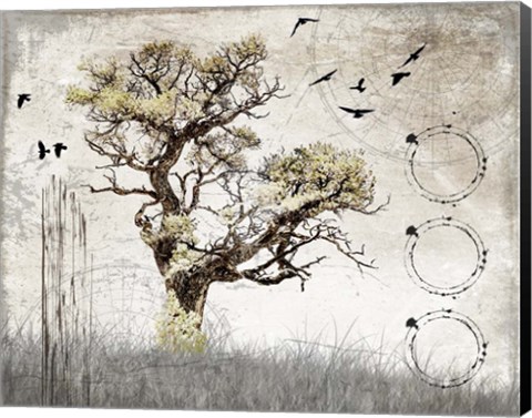 Framed August Tree 3 Print