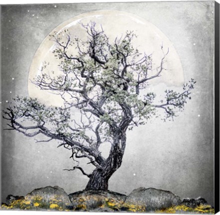 Framed August Tree 5 Print