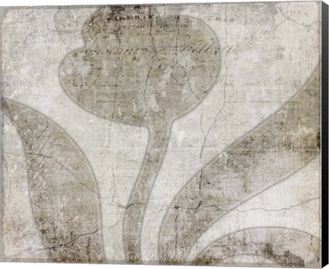 Framed Decorative Pattern 5.1 Print